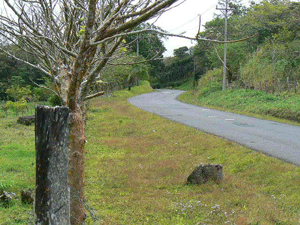 The paved and scenic lake road runs right past the 7 acres.